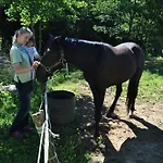 Tourist Farm Dujceva Domacija Vremski Britof