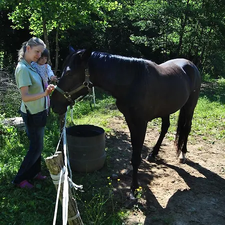 Tourist Farm Dujceva Domacija Vremski Britof