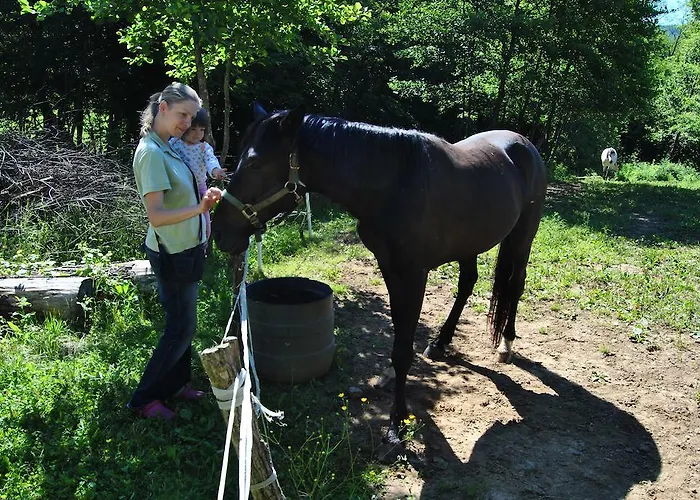 Tourist Farm Dujceva Domacija Vremski Britof
